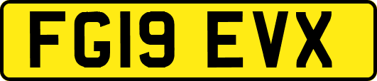 FG19EVX