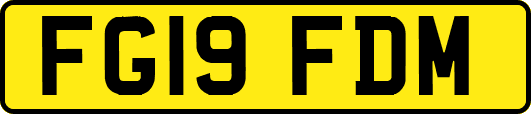 FG19FDM