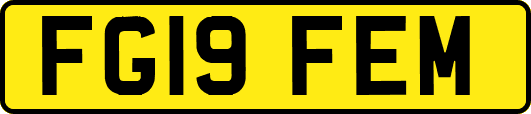 FG19FEM