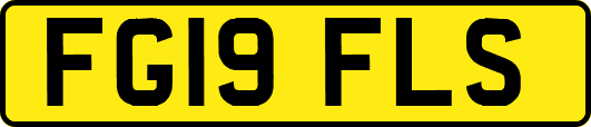 FG19FLS