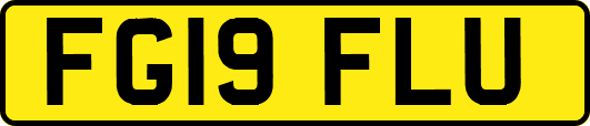 FG19FLU