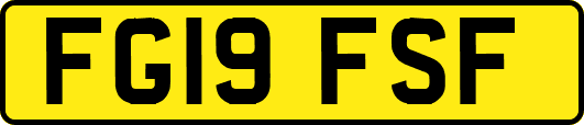 FG19FSF
