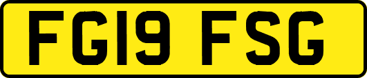 FG19FSG