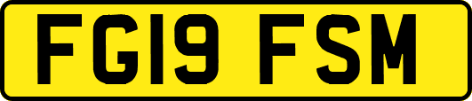 FG19FSM
