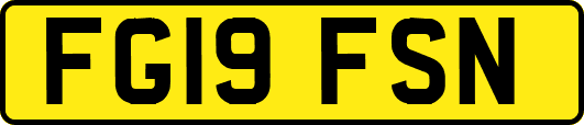 FG19FSN