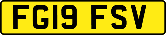 FG19FSV