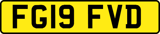 FG19FVD