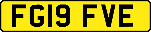 FG19FVE
