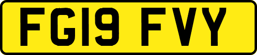 FG19FVY