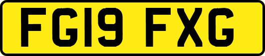 FG19FXG