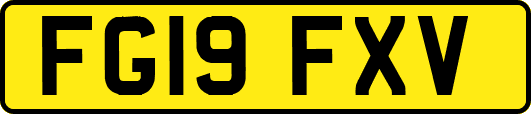 FG19FXV