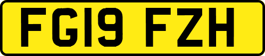 FG19FZH