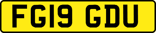 FG19GDU
