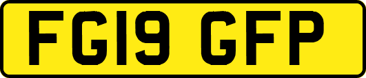 FG19GFP