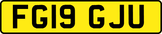 FG19GJU