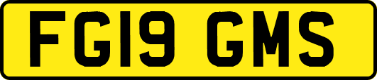 FG19GMS