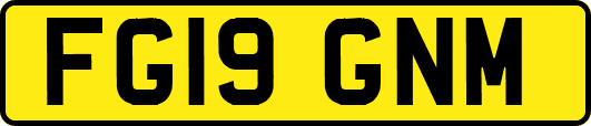 FG19GNM