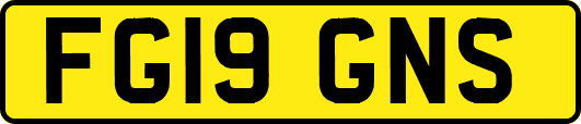 FG19GNS