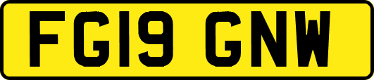 FG19GNW