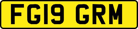 FG19GRM