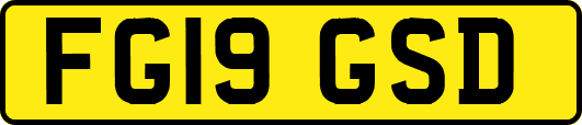 FG19GSD