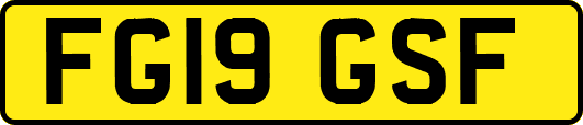 FG19GSF