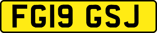 FG19GSJ
