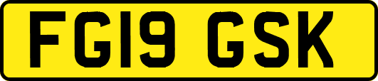 FG19GSK