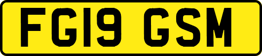 FG19GSM