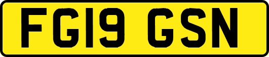 FG19GSN