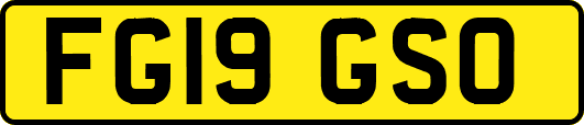 FG19GSO