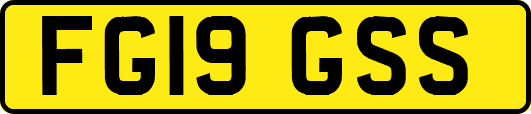 FG19GSS