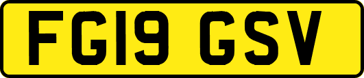 FG19GSV