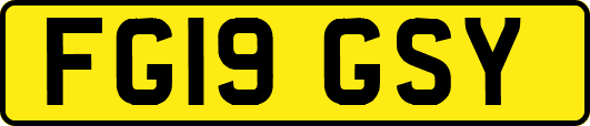 FG19GSY
