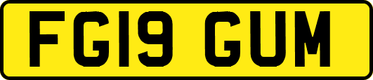 FG19GUM