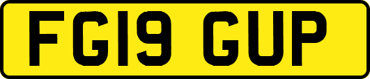 FG19GUP