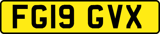 FG19GVX