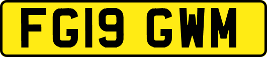 FG19GWM