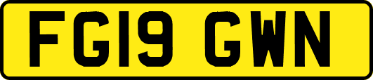 FG19GWN