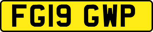 FG19GWP
