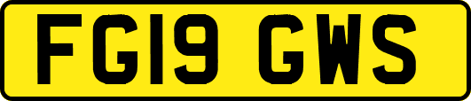 FG19GWS