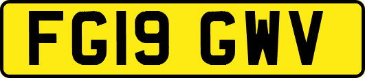 FG19GWV