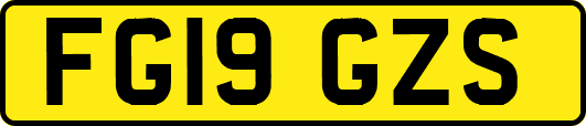 FG19GZS