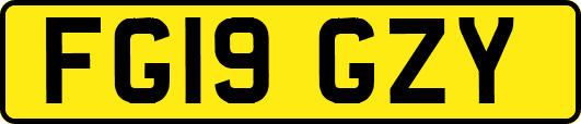 FG19GZY
