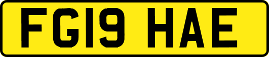 FG19HAE