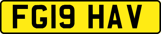 FG19HAV