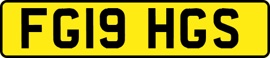 FG19HGS