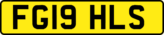 FG19HLS