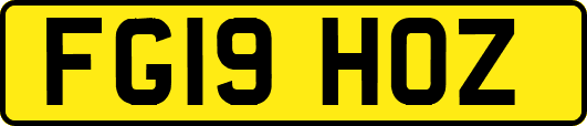FG19HOZ
