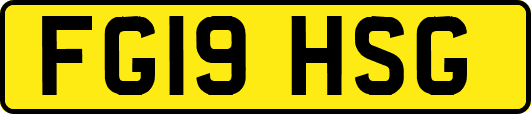 FG19HSG